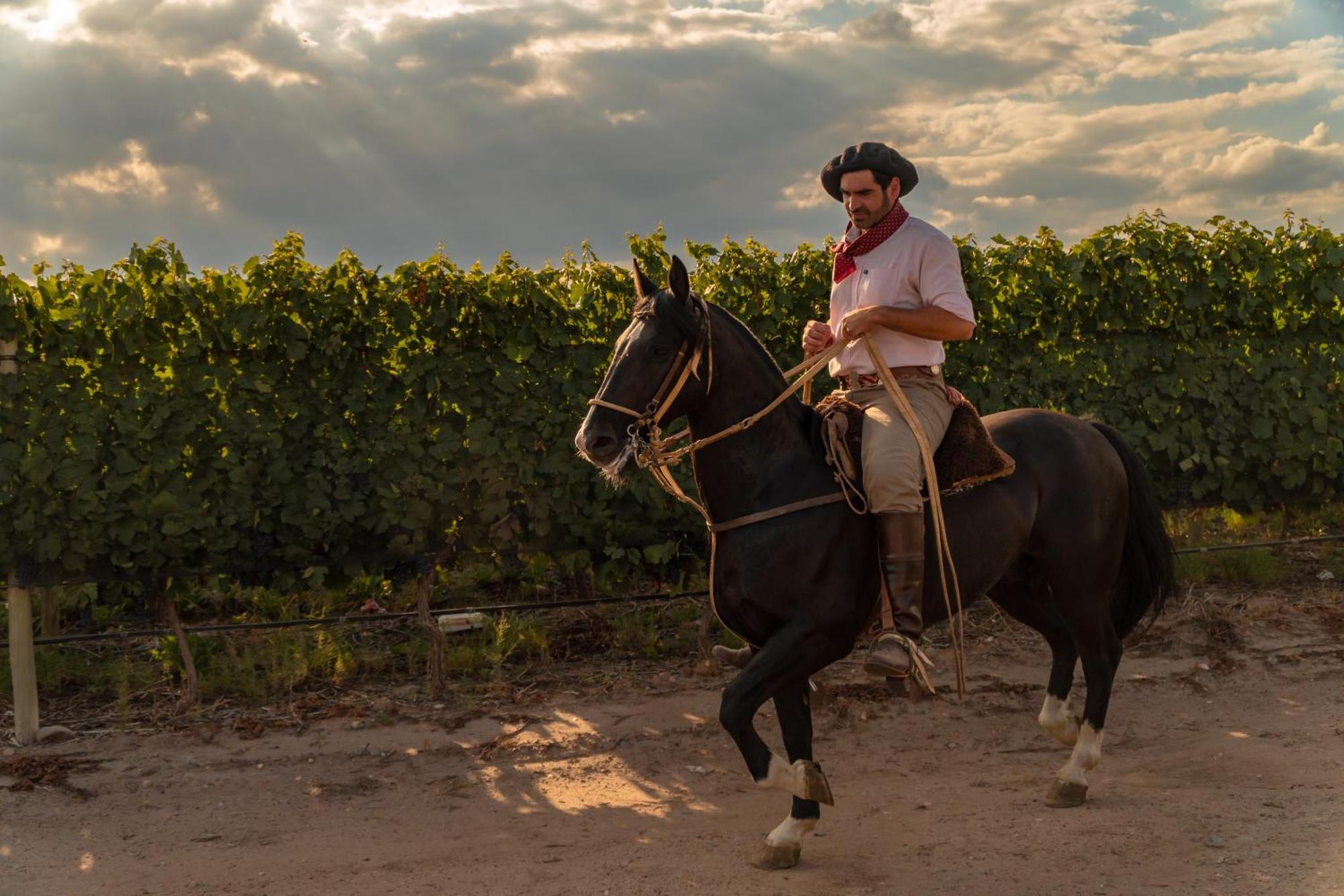 Rosell Boher Winery Lodge & Spa Agrelo Luaran gambar
