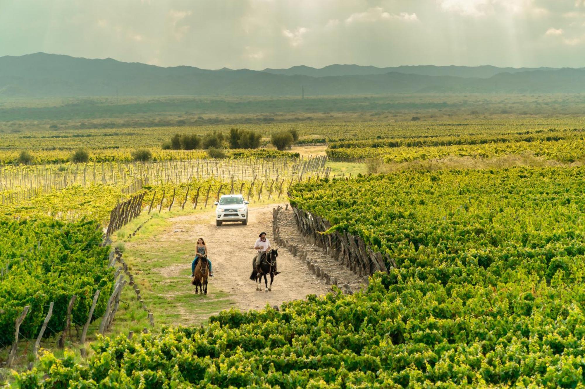 Rosell Boher Winery Lodge & Spa Agrelo Luaran gambar