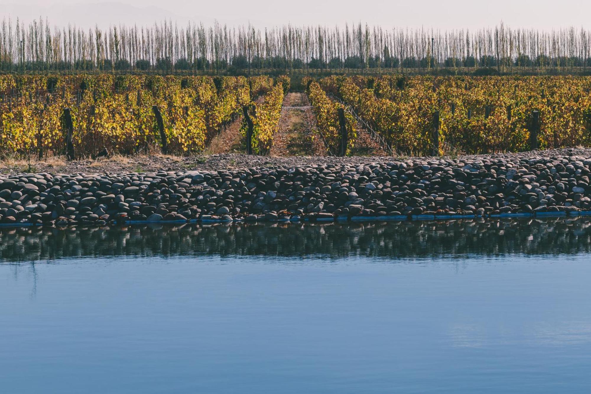 Rosell Boher Winery Lodge & Spa Agrelo Luaran gambar