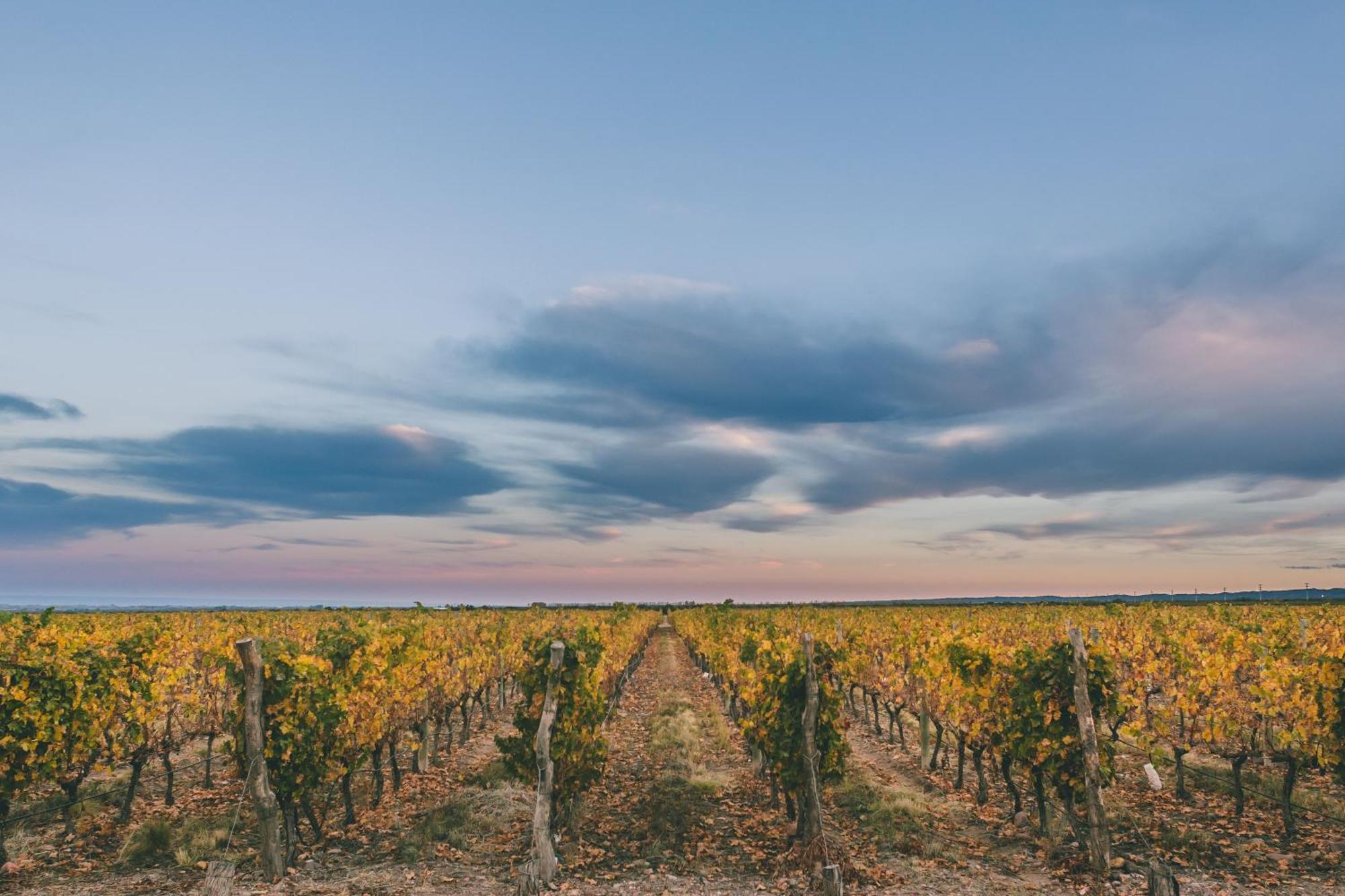 Rosell Boher Winery Lodge & Spa Agrelo Luaran gambar