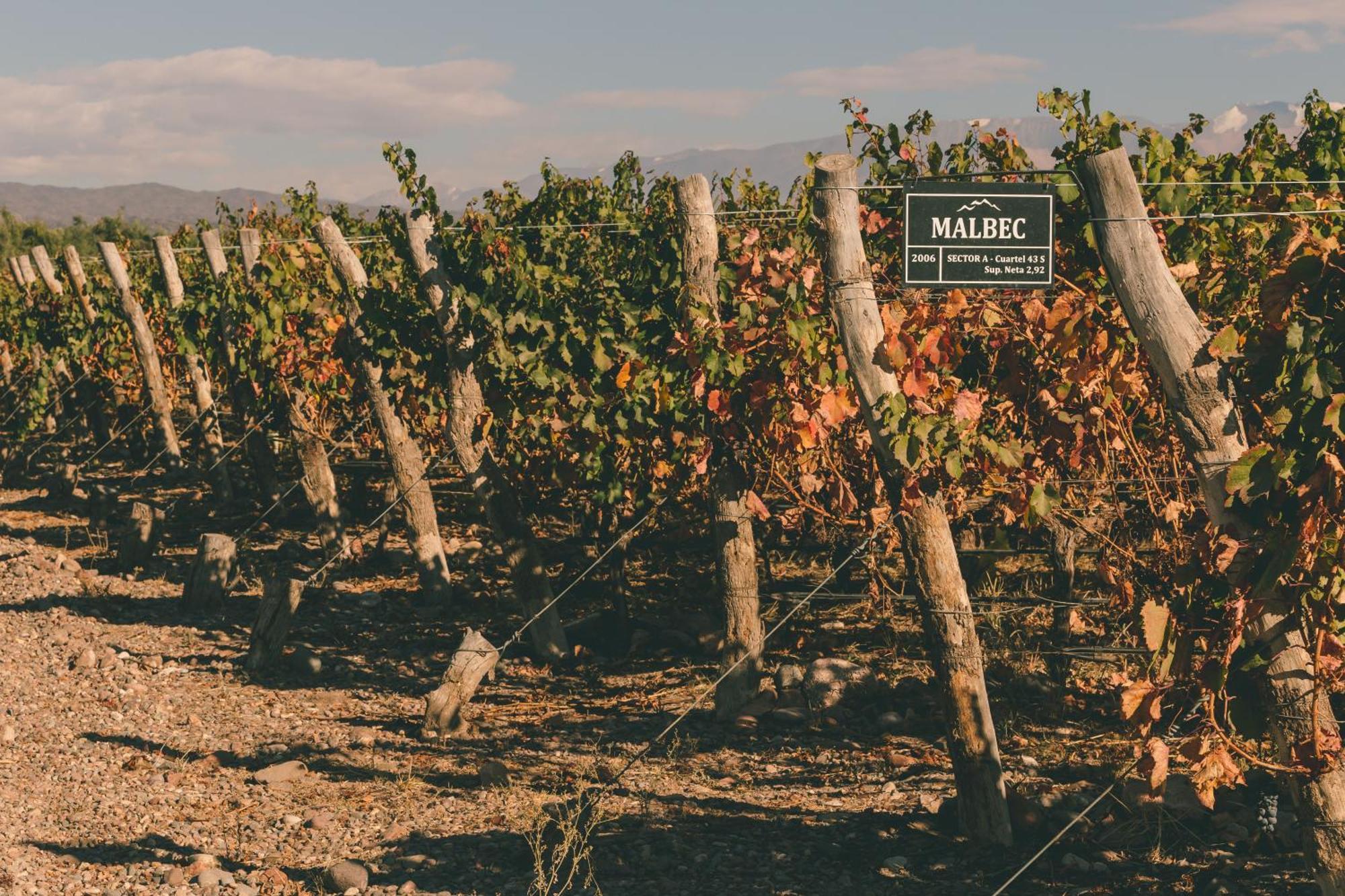 Rosell Boher Winery Lodge & Spa Agrelo Luaran gambar