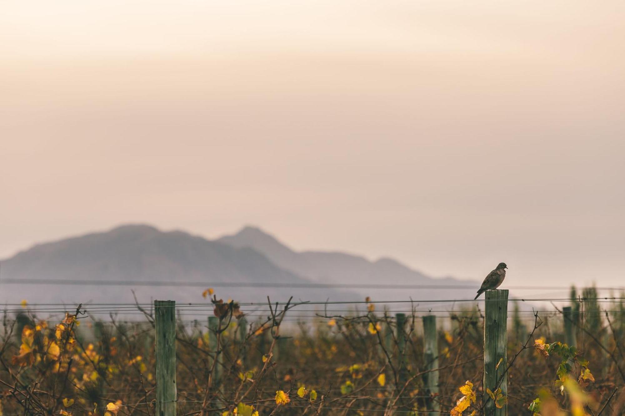 Rosell Boher Winery Lodge & Spa Agrelo Luaran gambar