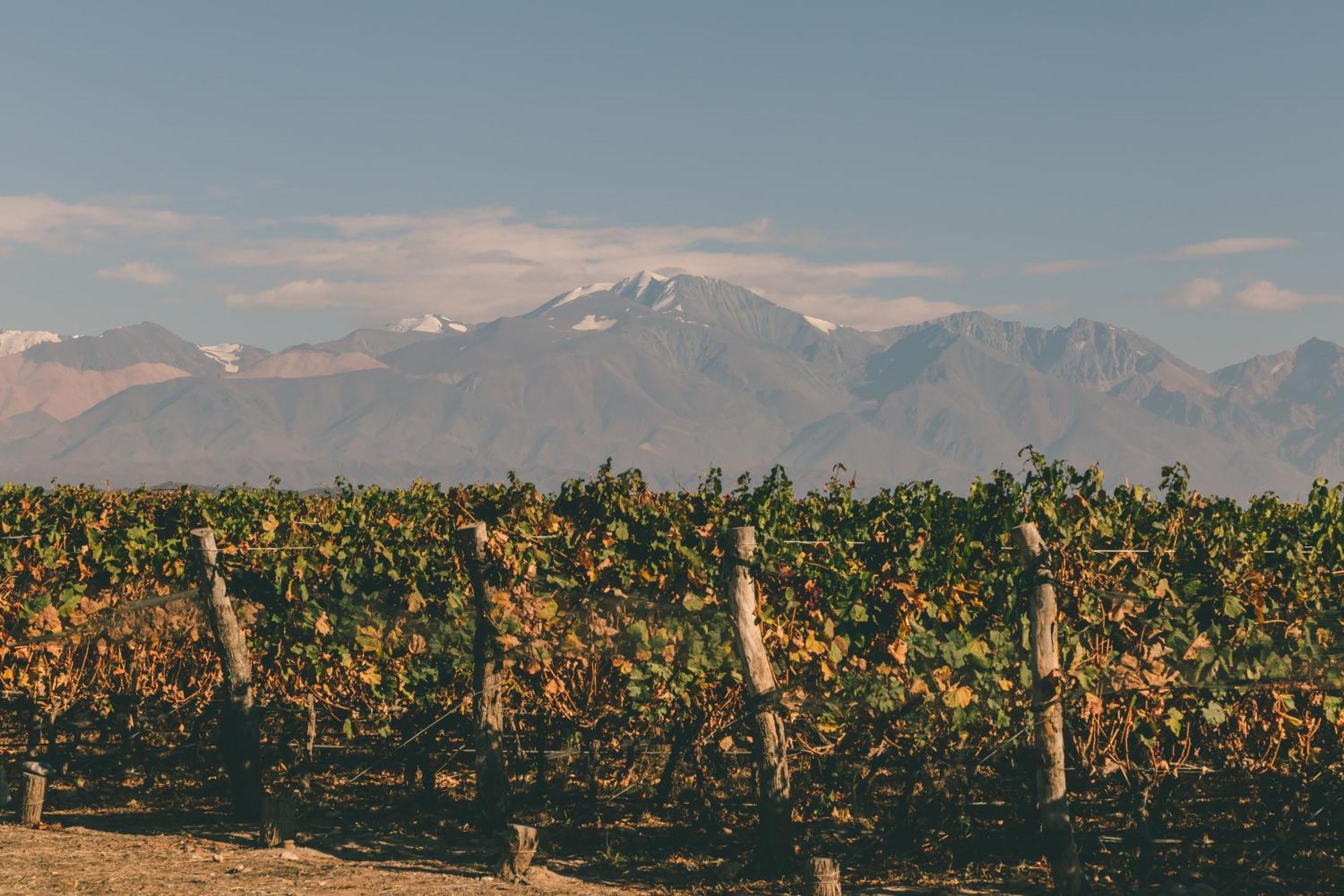 Rosell Boher Winery Lodge & Spa Agrelo Luaran gambar