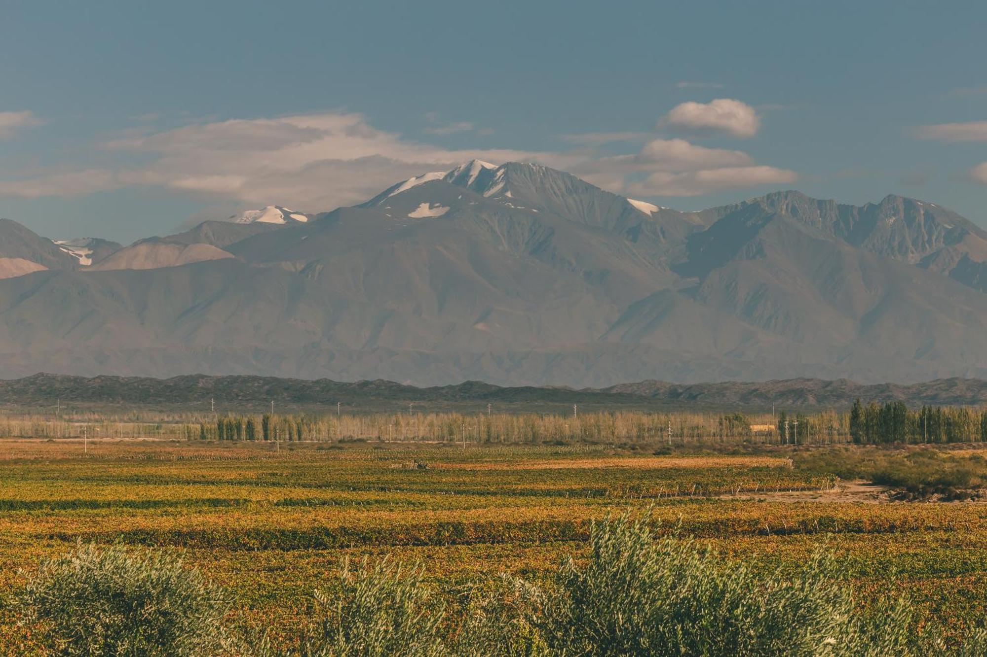 Rosell Boher Winery Lodge & Spa Agrelo Luaran gambar